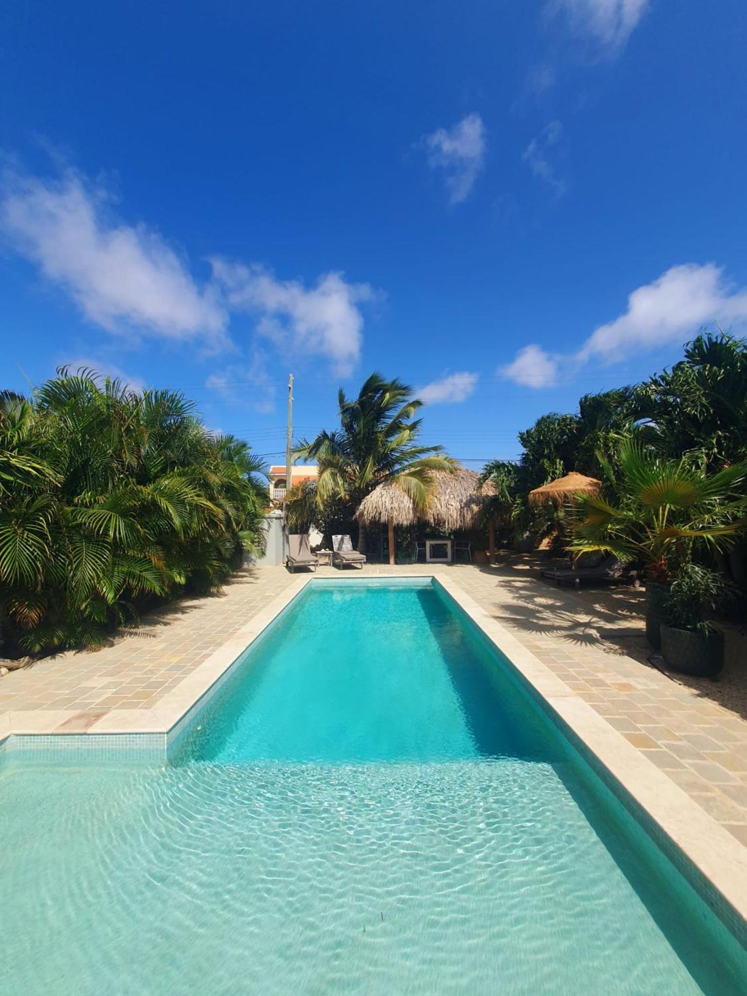 Belnem Puur Bonaire Boetiekhotel المظهر الخارجي الصورة