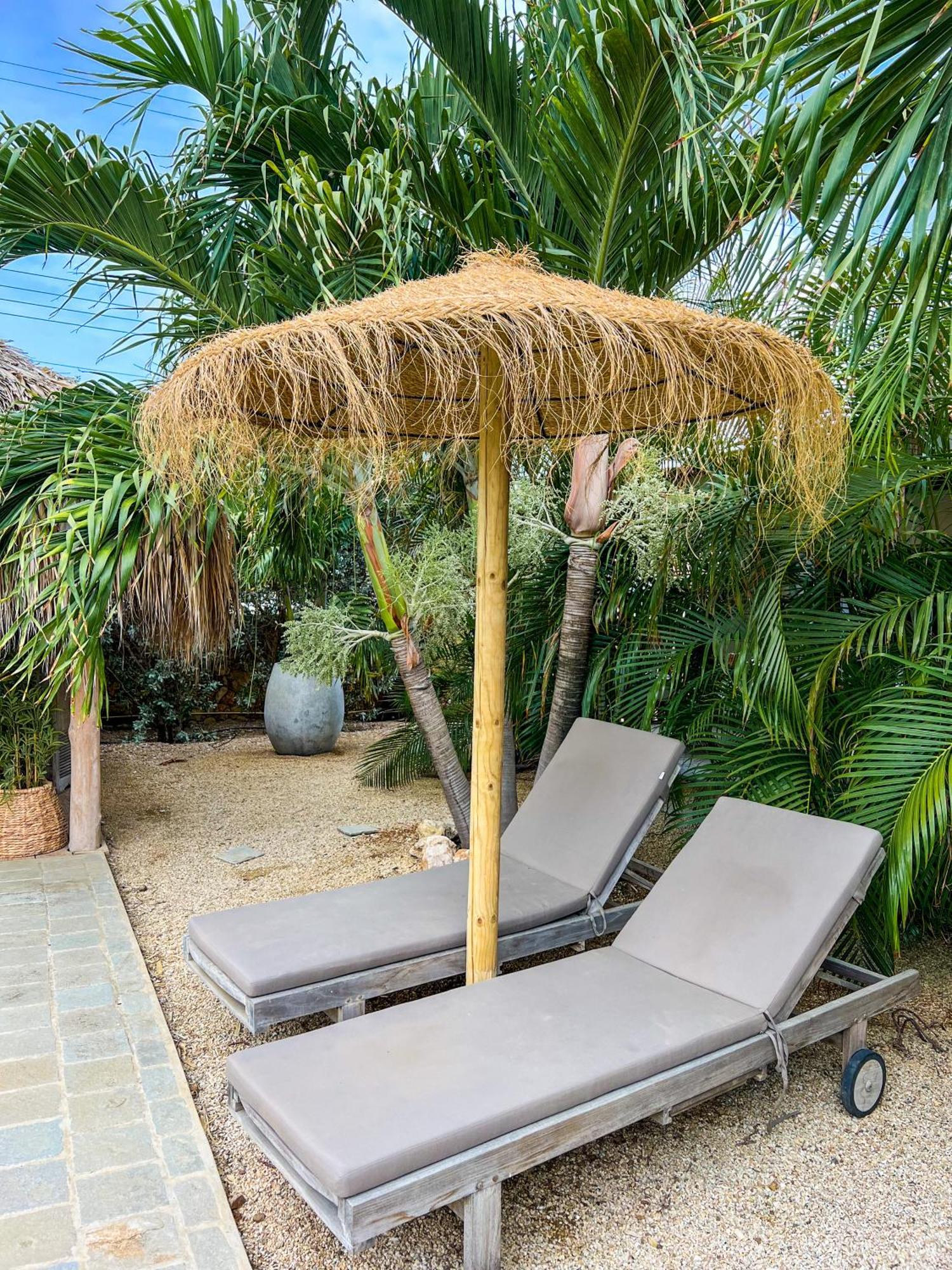 Belnem Puur Bonaire Boetiekhotel المظهر الخارجي الصورة