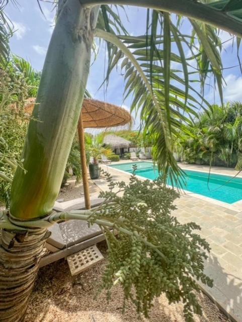 Belnem Puur Bonaire Boetiekhotel المظهر الخارجي الصورة