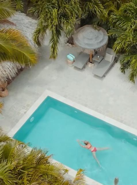 Belnem Puur Bonaire Boetiekhotel المظهر الخارجي الصورة